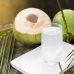 <strong>Conheça os benefícios da água de coco para a saúde</strong>